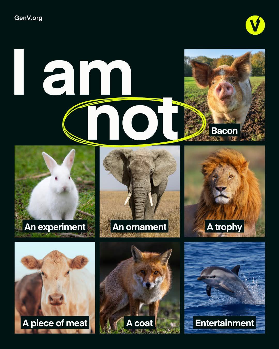 https://cruelty.farm